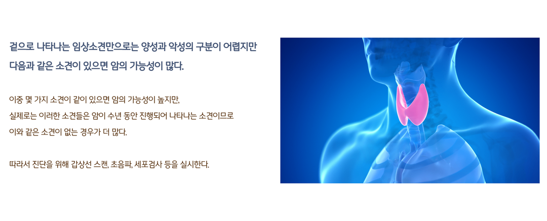 갑상선이란 15.png