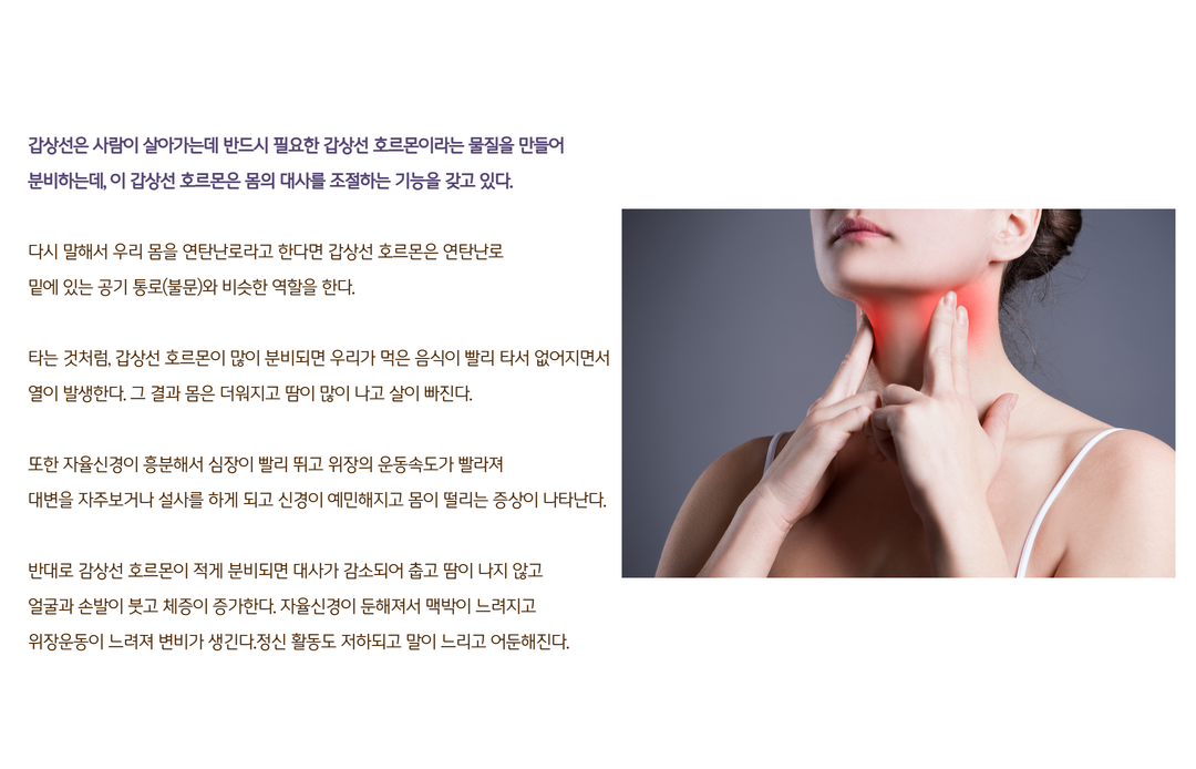갑상선이란 (1).png