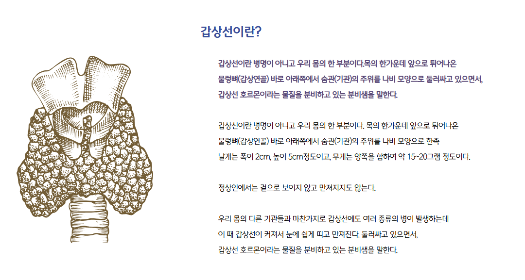 갑상선이란.png