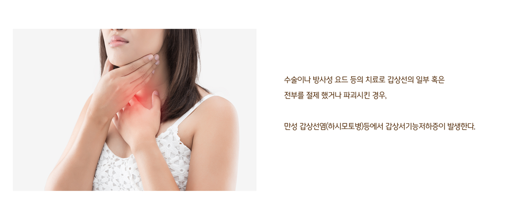 갑상선이란 (5).png