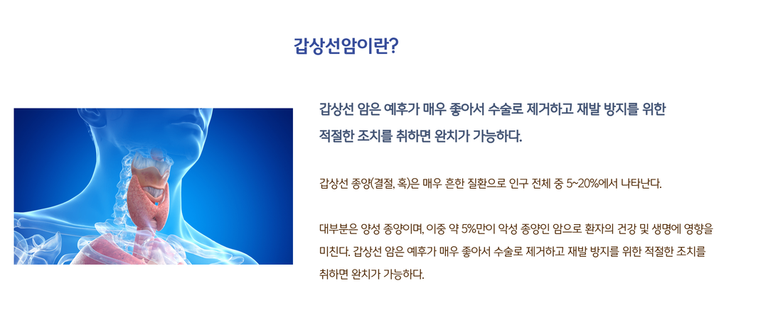 갑상선이란 14.png