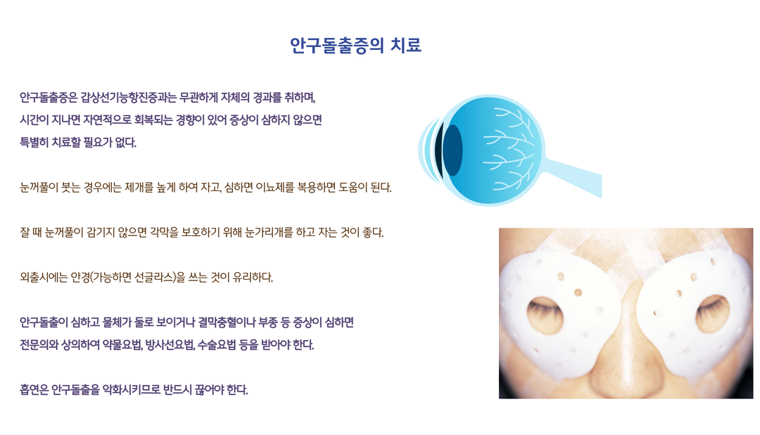 갑상선이란 (4).png