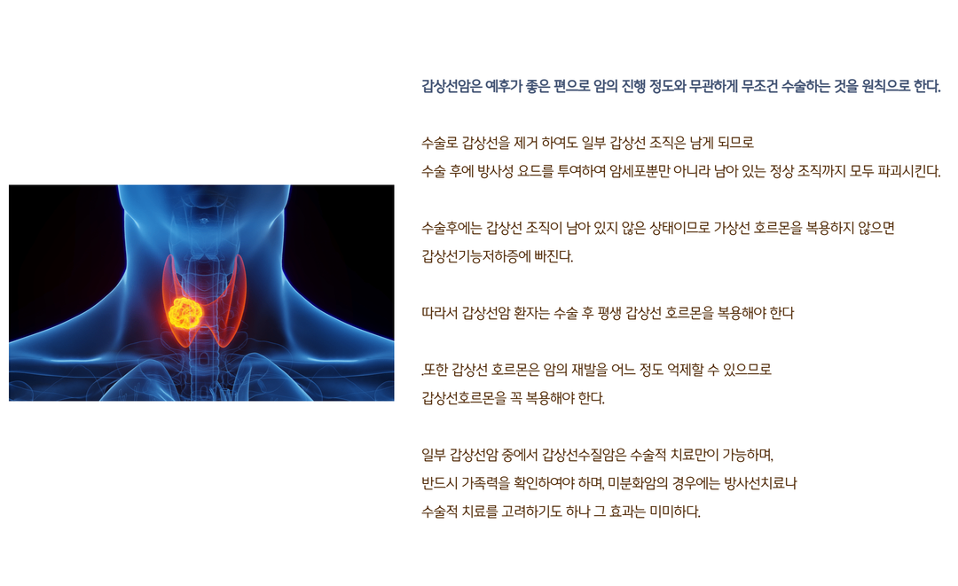 갑상선이란 16.png